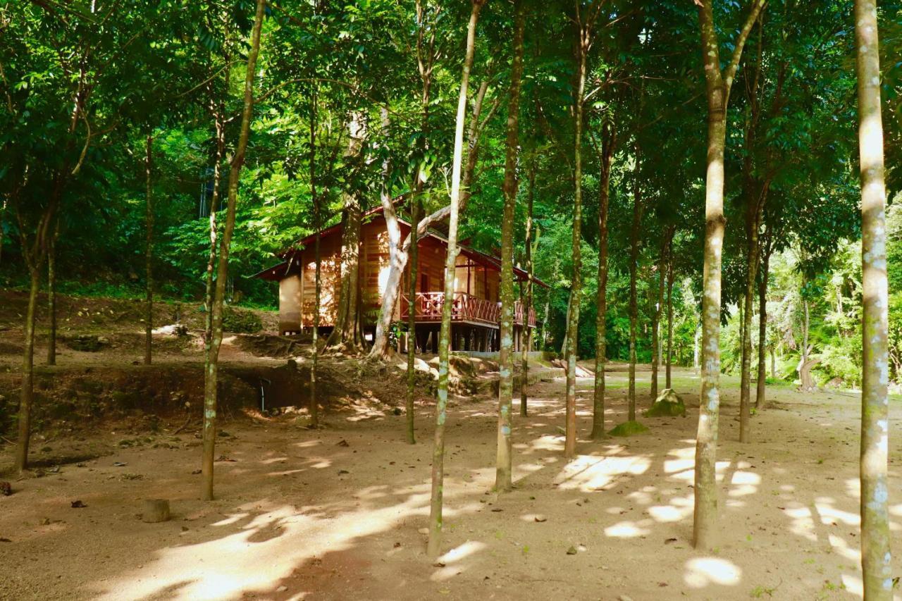 Paradise Eco Garden Kitulgala Bagian luar foto